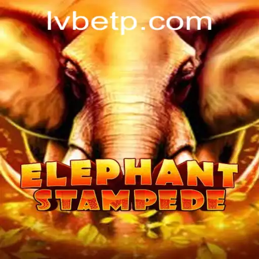 Discover the Thrills of ElephantStampede with LVBET